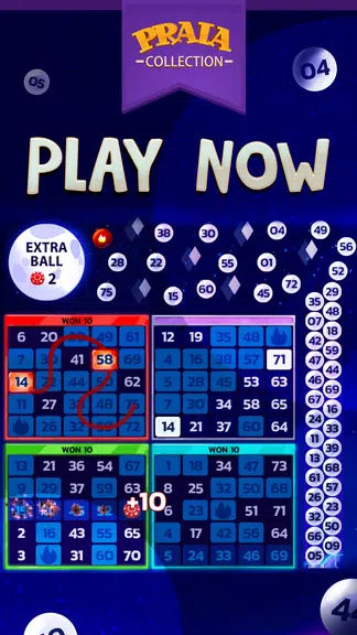 Video Bingo Malibu Screenshot 4 