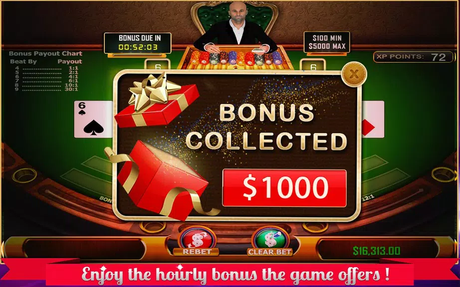 Baccarat - Casino Style Screenshot 3