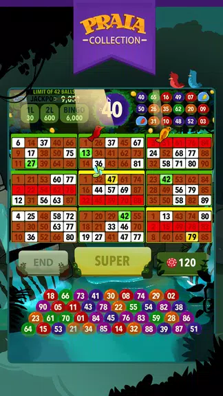 Video Bingo Ubatuba Screenshot 3