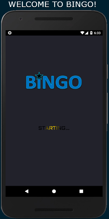 Bingo: 5 Line Game Screenshot 1 