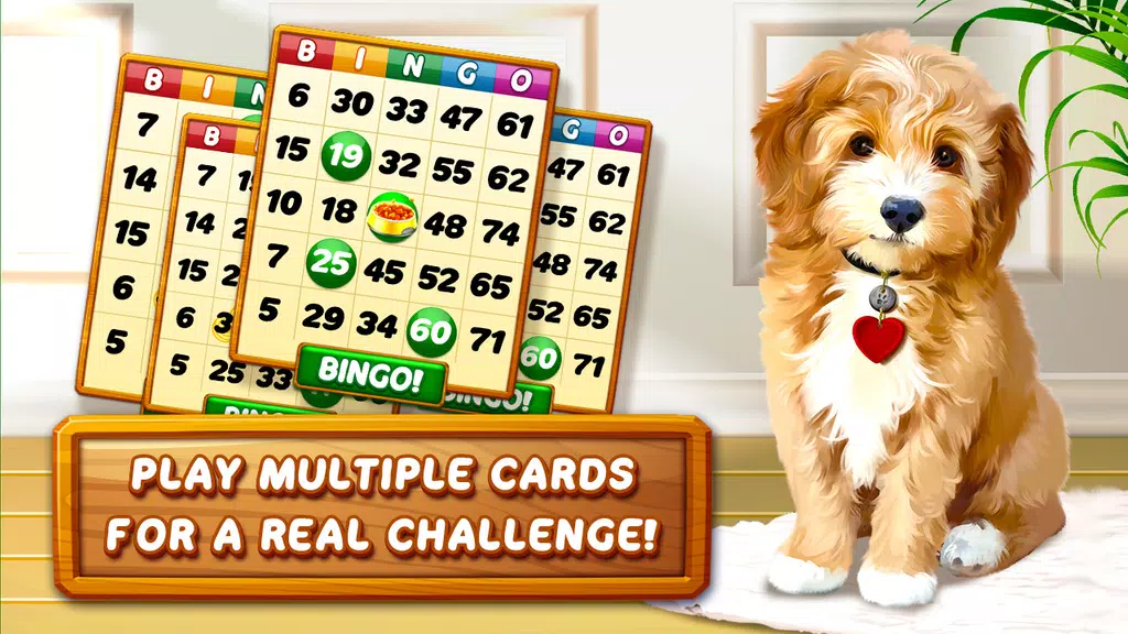 Bingo Dog - Fun Game 2022 Screenshot 3 