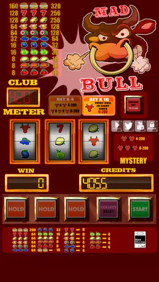 Mad Bull slot machine Screenshot 4 