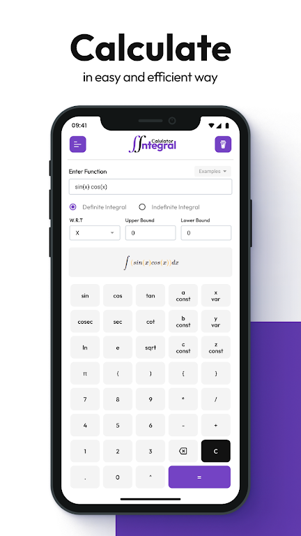 Double Integral Calculator Screenshot 2