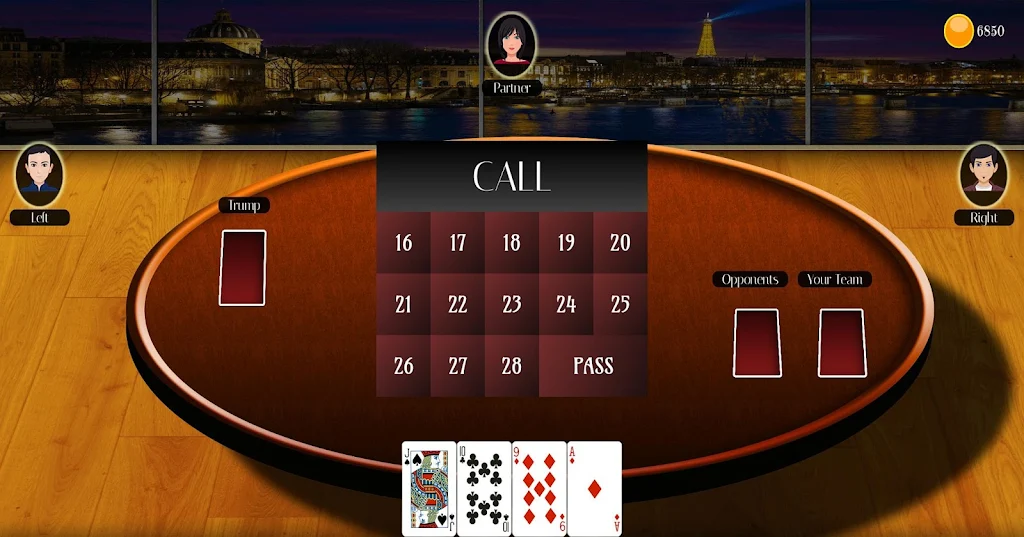 29 Card Game Lite Screenshot 2