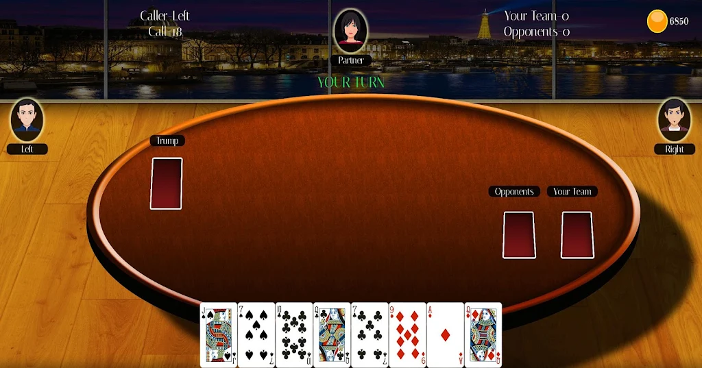 29 Card Game Lite Screenshot 3