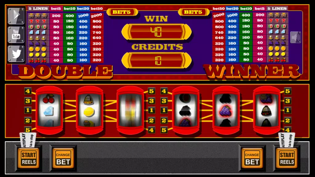 slots - Double Winner Screenshot 2 