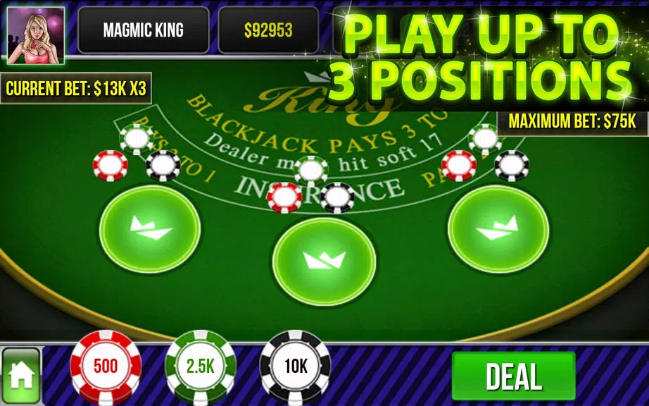 Blackjack King Screenshot 3