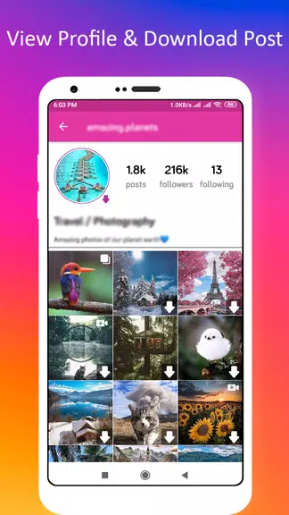 Profile Picture Downloader for Instagram Screenshot 2