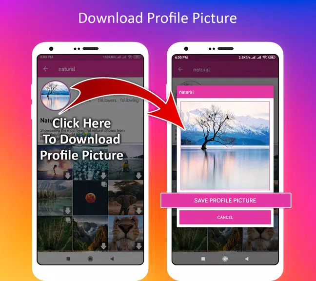 Profile Picture Downloader for Instagram Screenshot 3