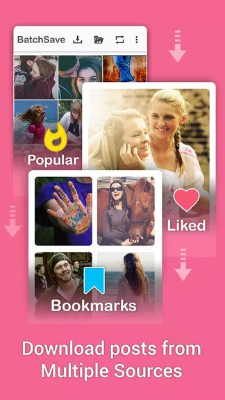 BatchSave - Multiple Photo & Video Downloader Screenshot 3