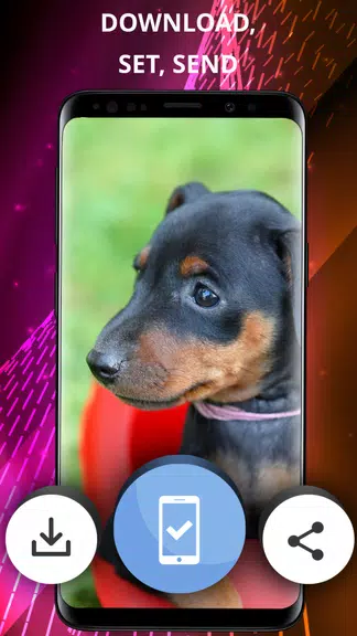 Dogs wallpapers for phone Screenshot 3 