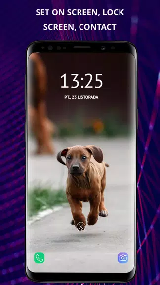 Dogs wallpapers for phone Screenshot 4 