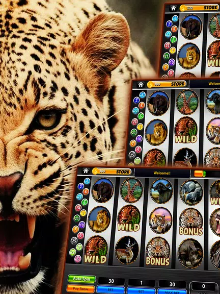 Cheetah Slots Safari Screenshot 1