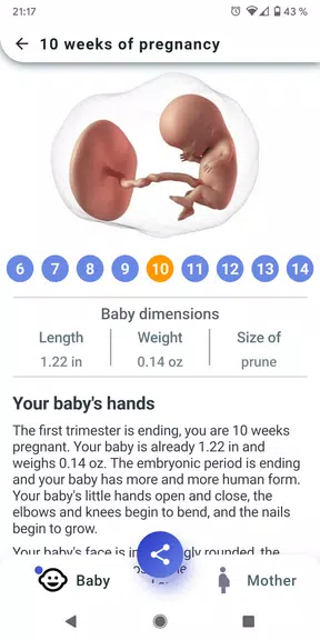 My Pregnancy - Week by Week Screenshot 2 