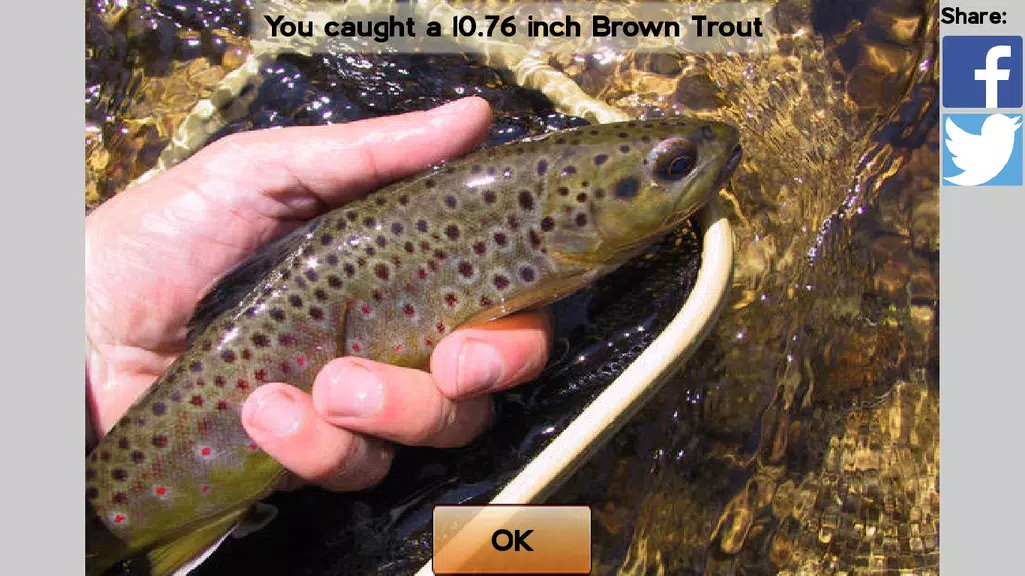 Fly Fishing Simulator HD Screenshot 2 