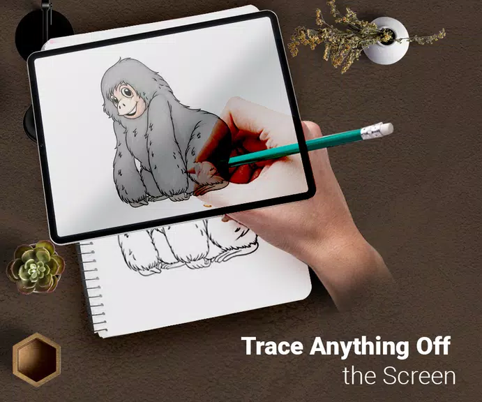 Draw : Trace & Sketch Screenshot 1 