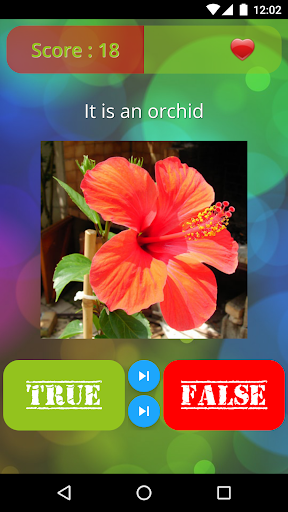 True or False? Trivia Quiz! Screenshot 2