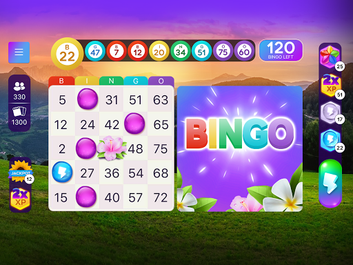 Bingo Relax Screenshot 2 