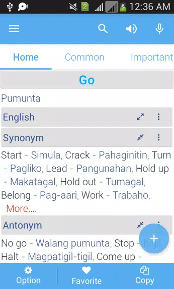 Filipino Dictionary Multifunct Screenshot 3