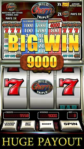 Wild Triple Cherry Slots Free Screenshot 2 