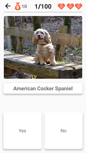 Dog Breeds - Quiz about all dogs of the world! Screenshot 2 