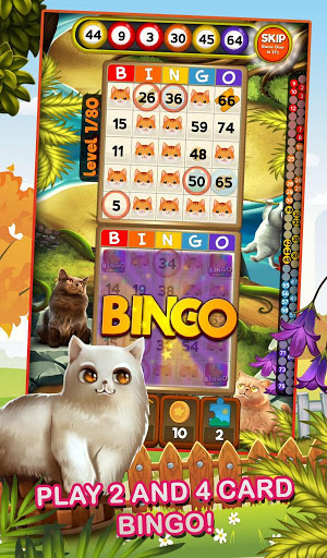 Bingo Pets Mania: Cat Craze Screenshot 4