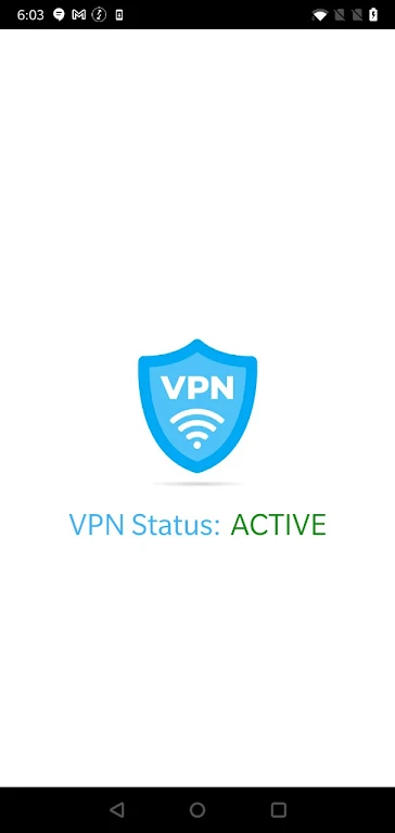 VPN Detect Screenshot 1