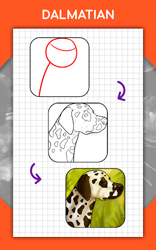 How to draw animals by steps Screenshot 13 