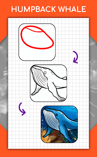 How to draw animals by steps Screenshot 24 