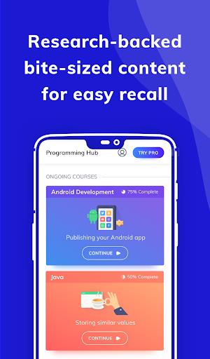 Programming Hub: Learn to code Screenshot 2