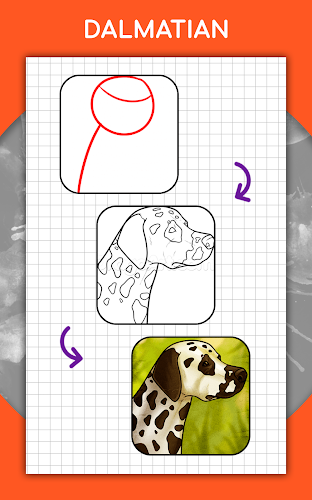 How to draw animals by steps Screenshot 21 