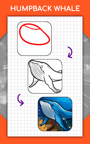 How to draw animals by steps Screenshot 16 