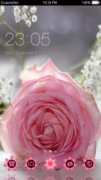 Pretty Pink Rose Theme Screenshot 1 