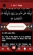 The Holy Quran and its Meaning Screenshot 4