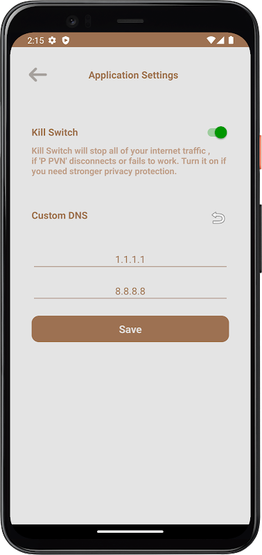 P VPN Screenshot 4