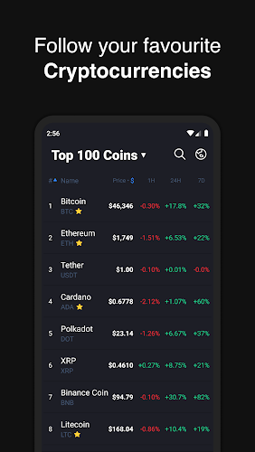 Hodler – Crypto Portfolio Screenshot 1 