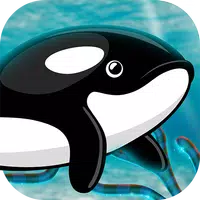 Orca Fish Home Adventure Apk