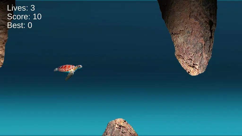 Turtle Run: Ocean Adventure Screenshot 3