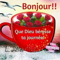 Bonjour Bonsoir Bonne Nuit