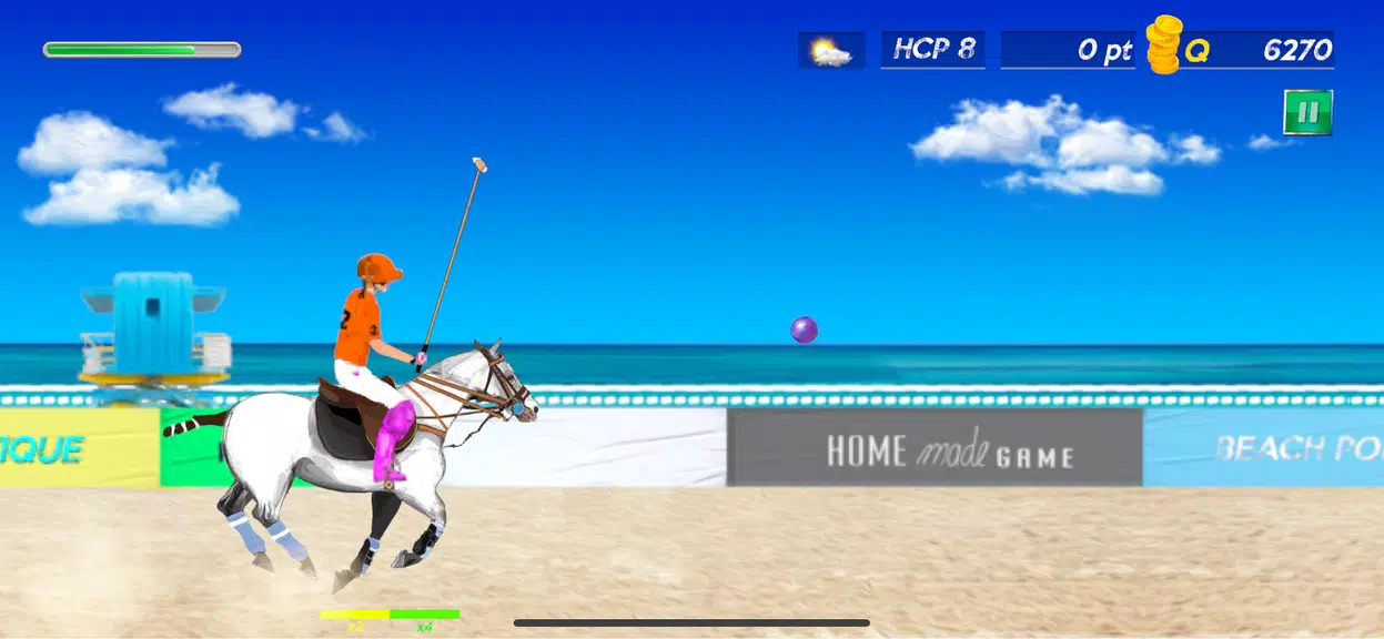 SnB Polo Pro Screenshot 2