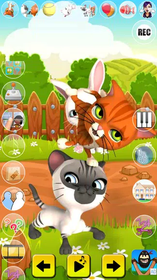 Talking Cat and Bunny Screenshot 2 