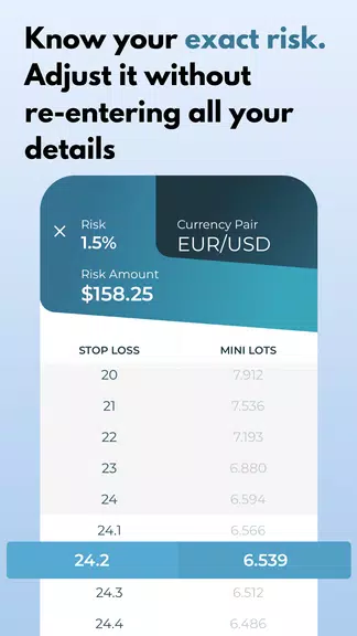 STINU-Position Size Calculator Screenshot 2