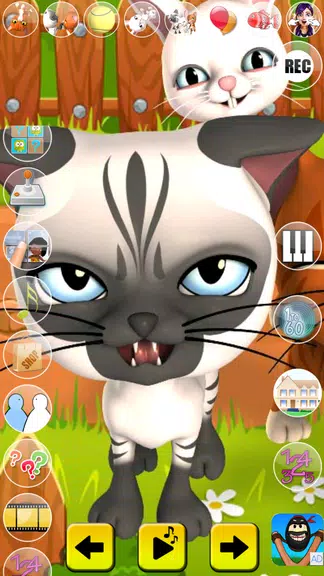 Talking Cat and Bunny Screenshot 4 