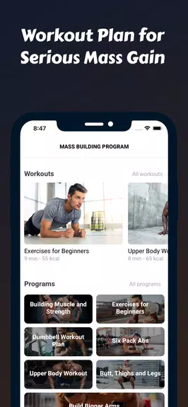 Mass Building Program Screenshot 2 