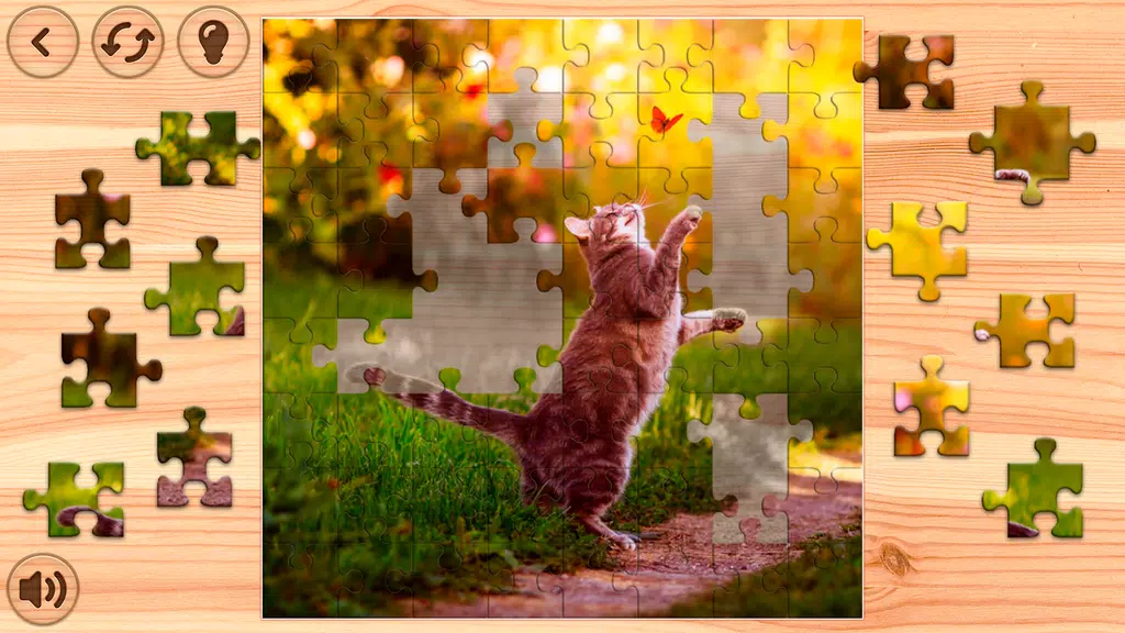 Jigsaw Puzzles Offline: Puzzle Screenshot 2