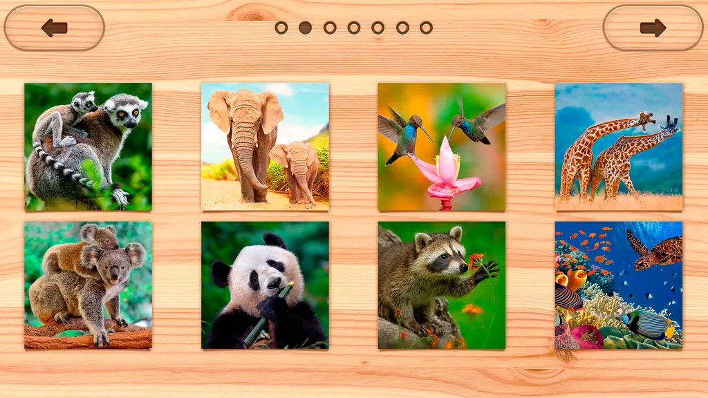 Jigsaw Puzzles Offline: Puzzle Screenshot 4