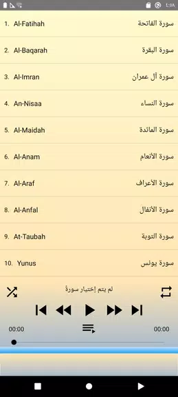 Khalid Al jalil offline Quran Screenshot 3