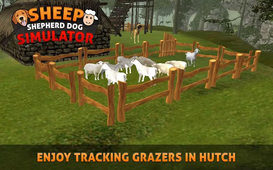 Sheep Shepherd Dog Simulator Screenshot 1