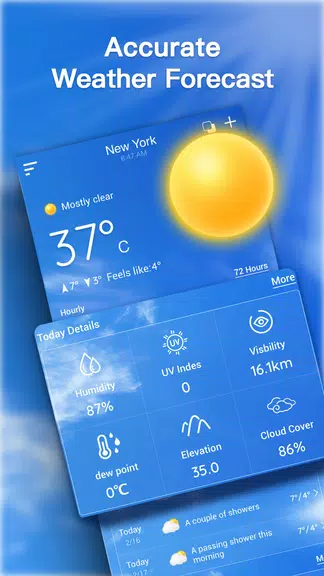 Live Weather Forecast Screenshot 1