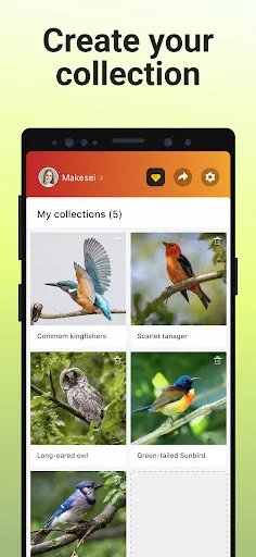 Picture Bird Screenshot 6